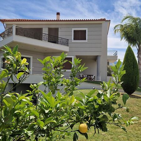 Dimitris Villa Aegium Buitenkant foto